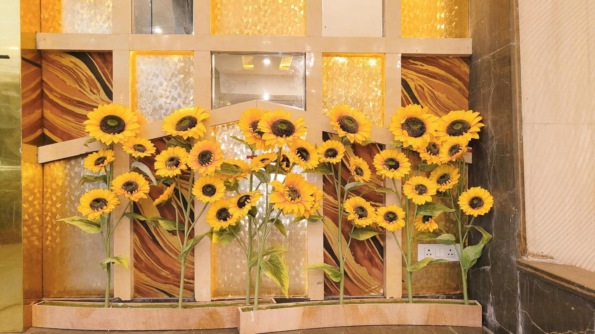 Hotel Sallow Royal Suites Amritsar Exterior photo
